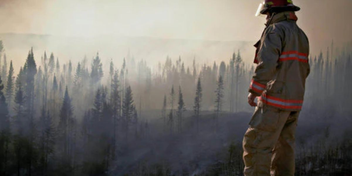 How LA’s Air Quality Affects Your Wildfire Preparedness Plans