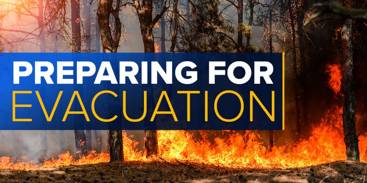 How to Create a Wildfire Evacuation Plan for Your Family in LA