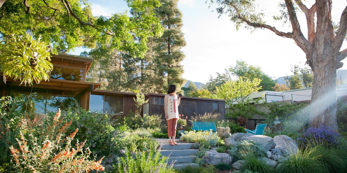 Fire-Resistant Plants Perfect for Los Angeles Landscaping